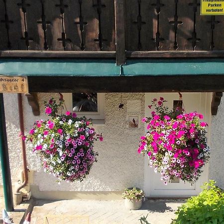 Апартаменты Haus Amsel Эбензее Экстерьер фото